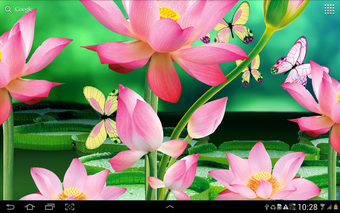 Bild 0 für Lotus Live Wallpaper