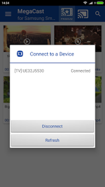 Image 2 pour MegaCast Samsung Smart TV