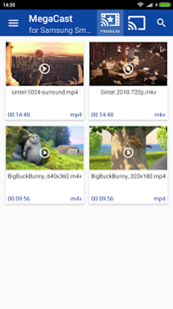 Image 0 pour MegaCast Samsung Smart TV