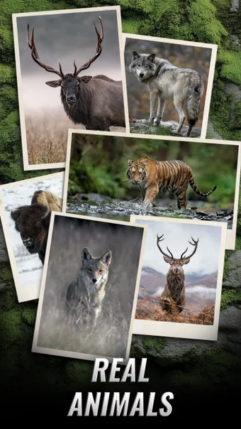 Bild 0 für Trophy Hunter – Hunting G…
