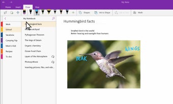 Imagen 0 para Microsoft Office OneNote