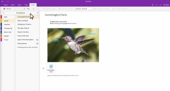 Imagen 2 para Microsoft Office OneNote