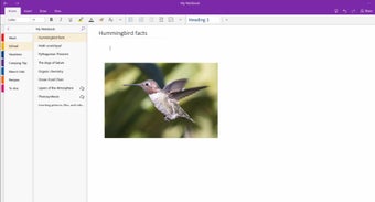 Imagen 3 para Microsoft Office OneNote