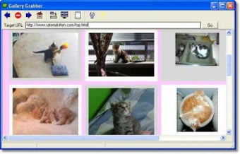 Imagen 0 para Gallery Grabber