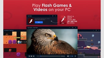 Flash Player.