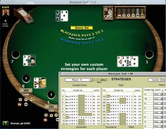 BlackJack Gold的第0张图片