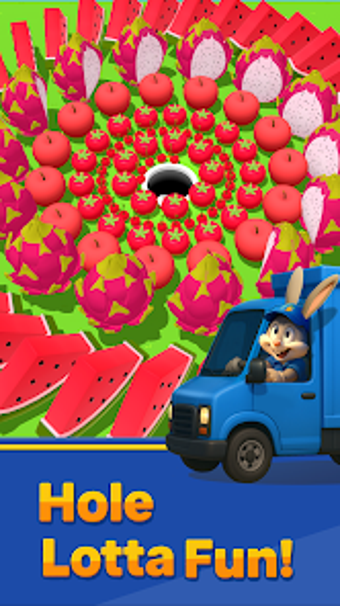 Imagen 0 para Hole Express