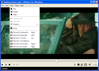 Obraz 2 dla MPlayer Portable