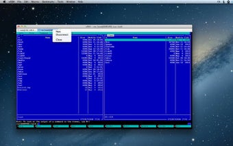 vSSHの画像0