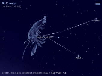 Zodiac Signs and 3D Models of Constellations