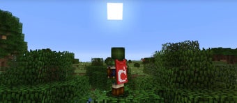 Minecraft Betaの画像1