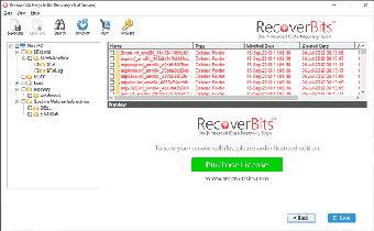 RecoverBits Recycle Bin Recovery