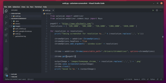 Image 0 pour ChromeDriver