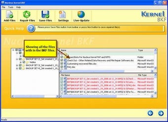 Image 0 for Nucleus Kernel BKF Repair…