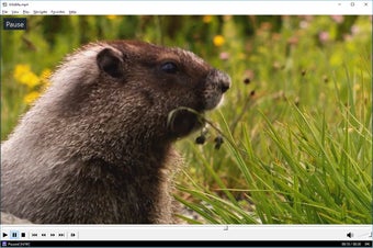 Media Player Classicの画像1