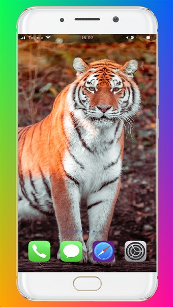 Obraz 0 dla Tiger Wallpaper HD