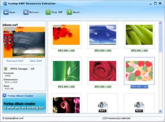 Image 0 for Fortop SWF Resources Extr…