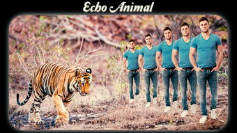 Echo Animal Effect : echo mirror with animal