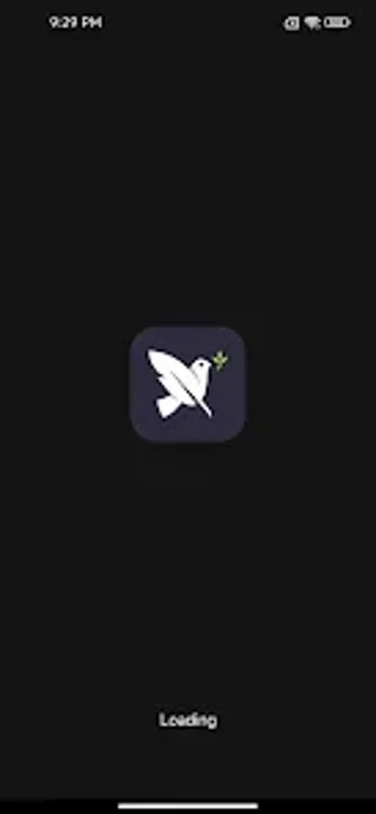 Bild 0 für Pigeon Proxy - Smooth  Fa…