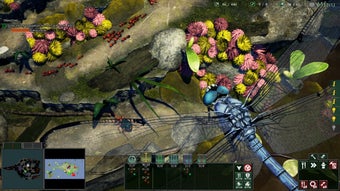 Bild 0 für Empires of the Undergrowt…