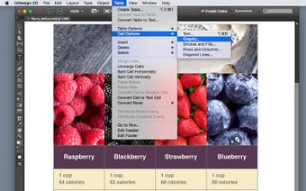 Image 4 pour Adobe InDesign
