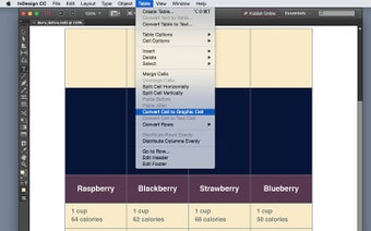 Image 2 pour Adobe InDesign