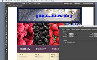 Image 1 pour Adobe InDesign