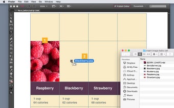 Image 5 pour Adobe InDesign
