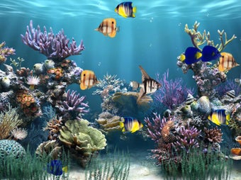 Aquarium Animated Wallpaper