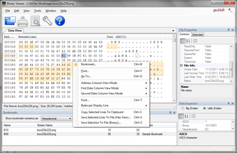 Binary Viewer for Windows