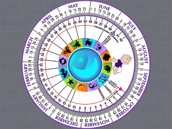 Obraz 0 dla Pregnancy Wheel