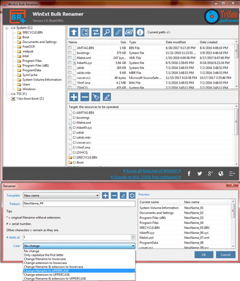Image 0 for WinExt Bulk Renamer