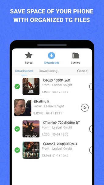 Imagen 0 para Nicegram Messenger Plus