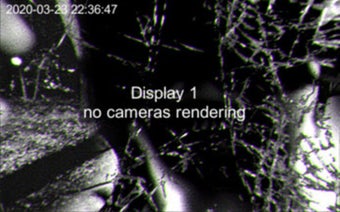 Obraz 0 dla Milyabroken