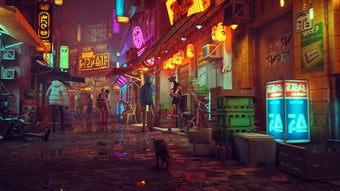 Image 0 pour Stray