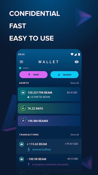 Image 0 pour Beam Wallet