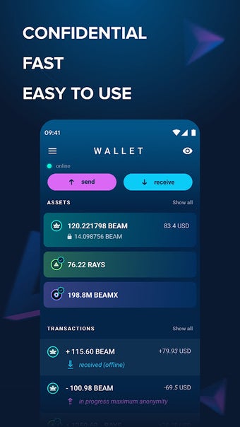 Beam Wallet