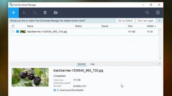 Bild 0 für Free Download Manager