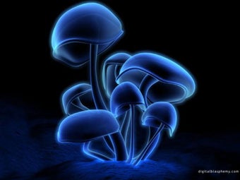 Image 0 pour 3D Wallpaper