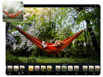 Image 0 for Adobe Photoshop Express f…