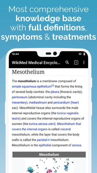 WikiMed - Offline Medical…的第2张图片