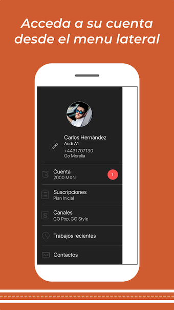 Imagen 0 para Go Drive Conductor