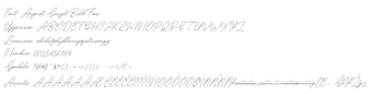 Obraz 0 dla August Script