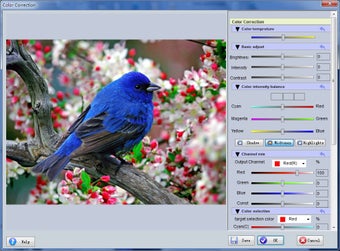 Image 0 for Easyboost Photo Print