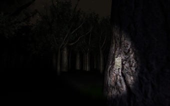 Obraz 2 dla Slender: The Eight Pages