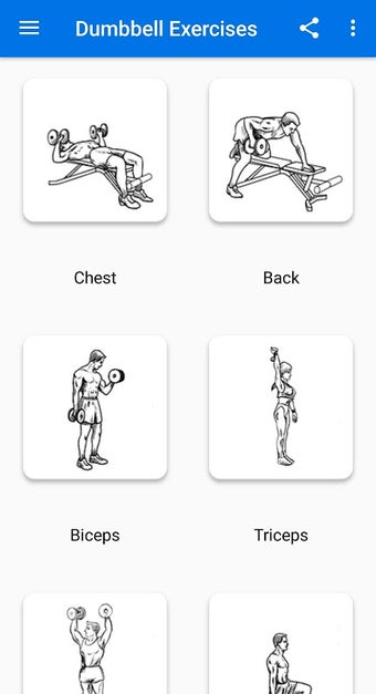 Dumbbell Exercises