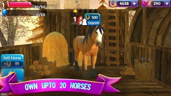 Horse Paradise - My Dream…的第0张图片