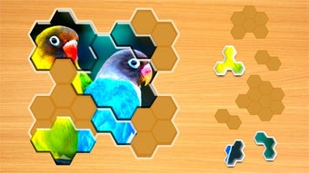 Obraz 0 dla Jigsaw Puzzles Hexa