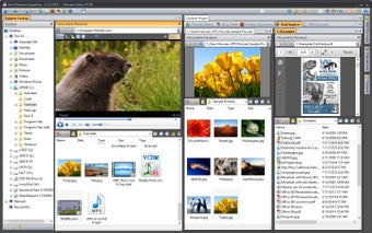 Image 0 pour Vole Windows Expedition