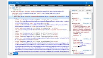 Microsoft Edge DevTools Preview